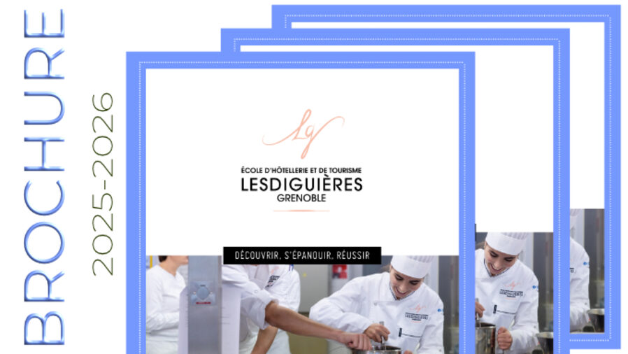 vignette brochure.jpg