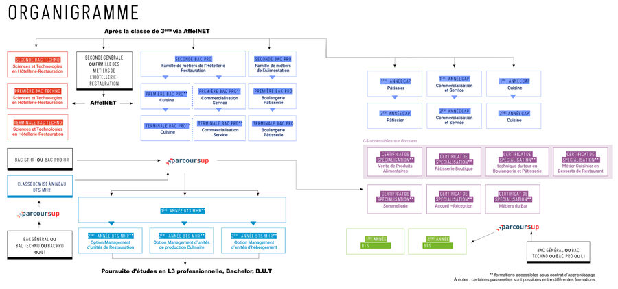 organigrammes formations 2025