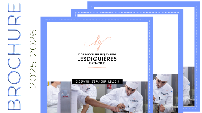 vignette brochure.jpg
